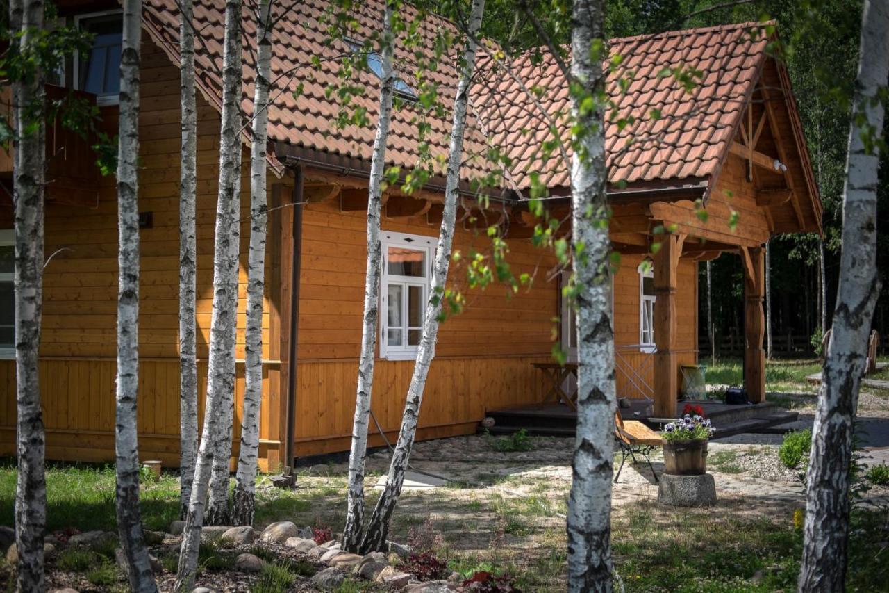 Miodowa Kolonia Bed & Breakfast Białowieża Eksteriør bilde